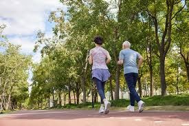 新鹏城队将于11月14日举办球迷开放日活动，今天14点开启报名